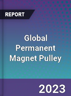 Global Permanent Magnet Pulley Industry