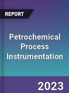 Global Petrochemical Process Instrumentation Market