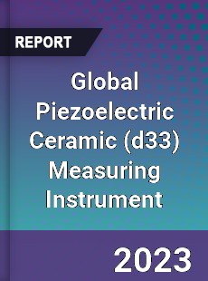 Global Piezoelectric Ceramic Measuring Instrument Industry