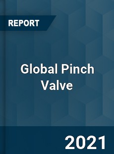 Global Pinch Valve Market