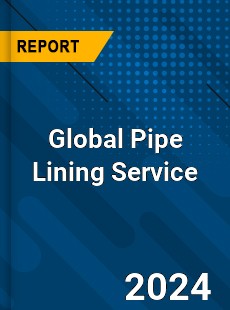 Global Pipe Lining Service Industry