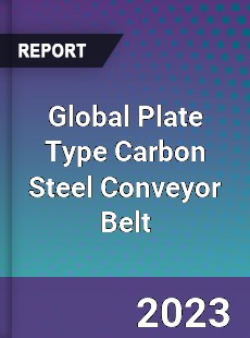 Global Plate Type Carbon Steel Conveyor Belt Industry