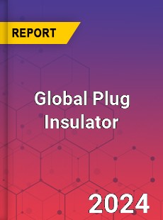 Global Plug Insulator Industry