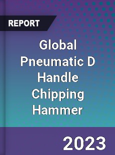 Global Pneumatic D Handle Chipping Hammer Industry