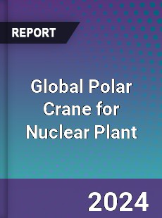 Global Polar Crane for Nuclear Plant Industry