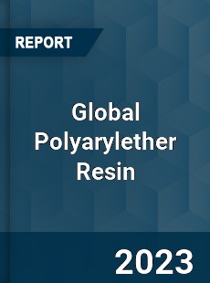 Global Polyarylether Resin Industry