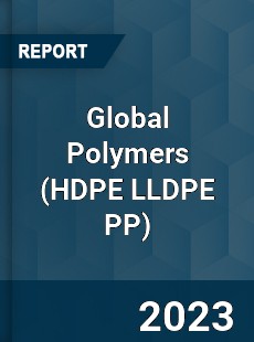 Global Polymers Market