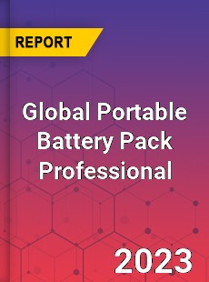 Global Portable Battery Pack Professional Market