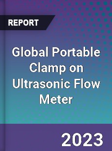 Global Portable Clamp on Ultrasonic Flow Meter Industry