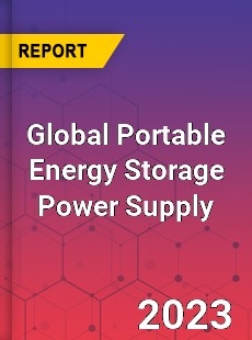 Global Portable Energy Storage Power Supply Industry