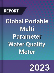 Global Portable Multi Parameter Water Quality Meter Industry