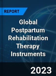 Global Postpartum Rehabilitation Therapy Instruments Industry