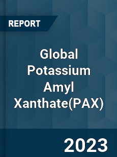 Global Potassium Amyl Xanthate Industry