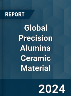 Global Precision Alumina Ceramic Material Industry