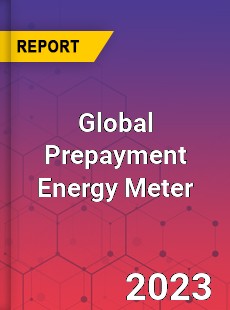 Global Prepayment Energy Meter Industry