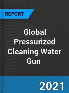 Global Pressurized Cleaning Water Gun Market