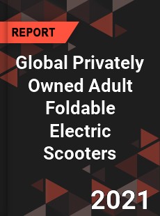 Global Privately Owned Adult Foldable Electric Scooters Market