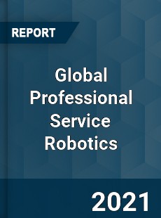 Global Professional Service Robotics Market