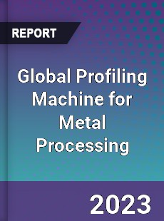 Global Profiling Machine for Metal Processing Industry