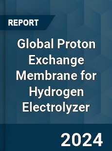 Global Proton Exchange Membrane for Hydrogen Electrolyzer Industry