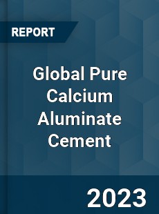 Global Pure Calcium Aluminate Cement Industry