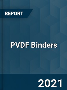 Global PVDF Binders Professional Survey Report