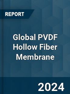 Global PVDF Hollow Fiber Membrane Industry