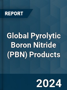 Global Pyrolytic Boron Nitride Products Industry