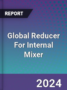 Global Reducer For Internal Mixer Industry