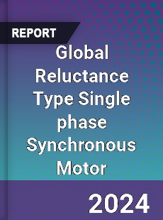 Global Reluctance Type Single phase Synchronous Motor Industry