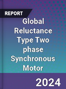 Global Reluctance Type Two phase Synchronous Motor Industry