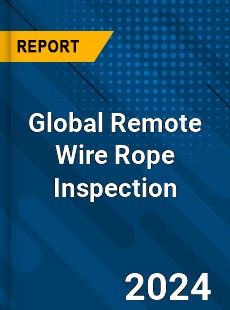 Global Remote Wire Rope Inspection Industry