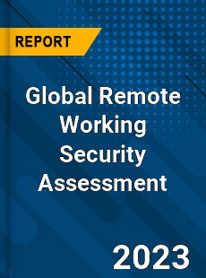 Global Remote Working Security Assessment Industry