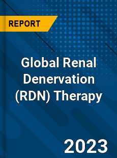 Global Renal Denervation Therapy Industry