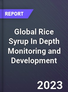 Global Rice Syrup In Depth Monitoring and Development Analysis