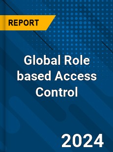 Global Role based Access Control Industry