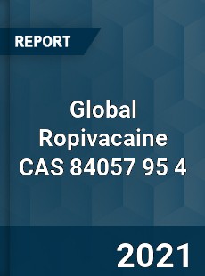 Global Ropivacaine CAS 84057 95 4 Industry