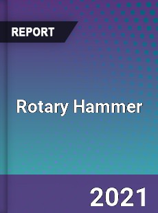 Global Rotary Hammer Professional Survey Report