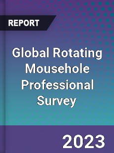 Global Rotating Mousehole Professional Survey Report