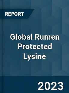 Global Rumen Protected Lysine Industry