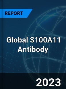 Global S100A11 Antibody Industry