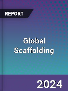 Global Scaffolding Market