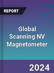 Global Scanning NV Magnetometer Industry