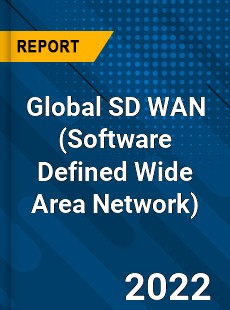 Global SD WAN Market