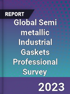 Global Semi metallic Industrial Gaskets Professional Survey Report