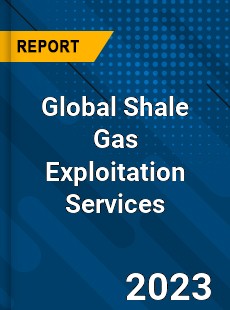 Global Shale Gas Exploitation Services Industry