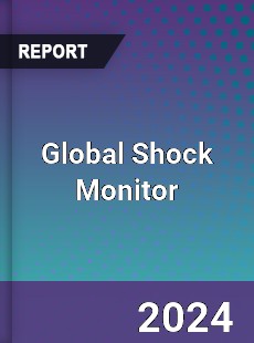 Global Shock Monitor Industry