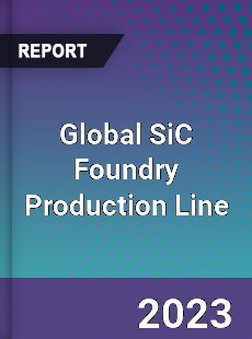 Global SiC Foundry Production Line Industry