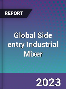 Global Side entry Industrial Mixer Market