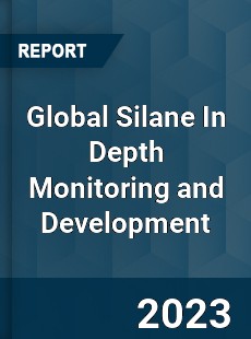 Global Silane In Depth Monitoring and Development Analysis